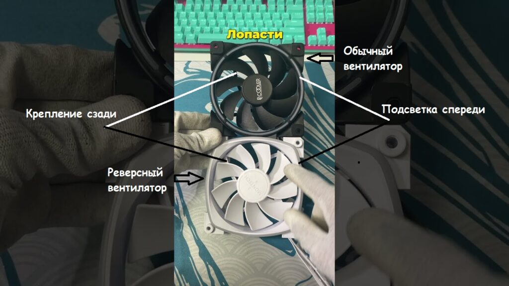 реверс Дон А'Вито