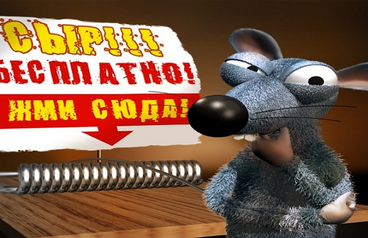 сыр Дон А'Вито